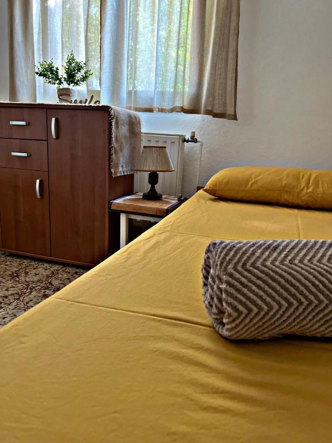 Apartment Villa Angelina, 70M From The Beach, Free Parking Novigrad  Exterior photo