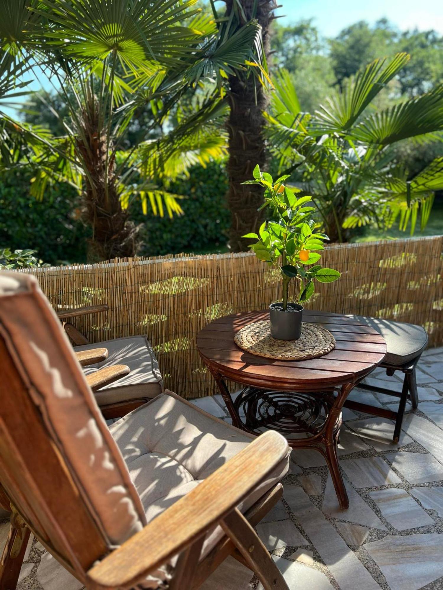 Apartment Villa Angelina, 70M From The Beach, Free Parking Novigrad  Exterior photo